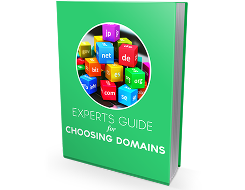 Experts Guide for Choosing Domains