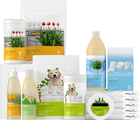 Get Clean Starter Kit