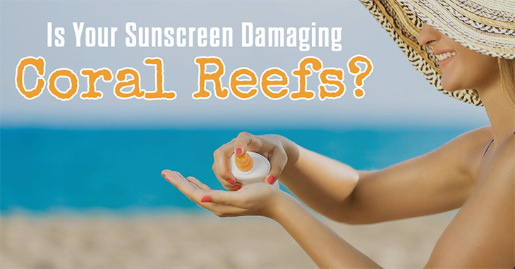 Is Your Sunscreen Damaging Coral Reefs
