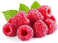 raspberry