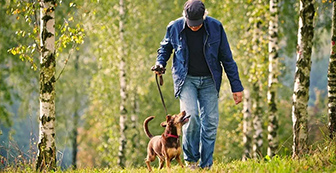Man Walking with Dog