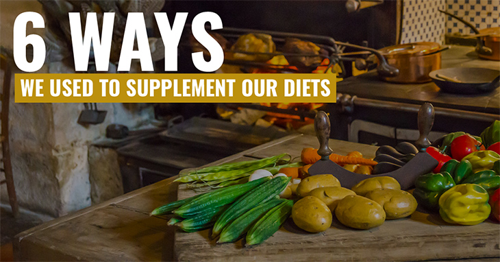 6 Ways We Used to Supplement Our Diets