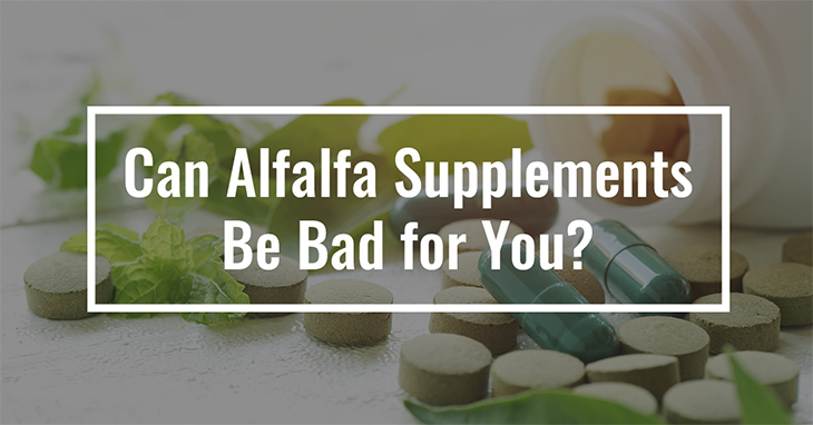 Can Alfalfa Supplements Be Bad for You