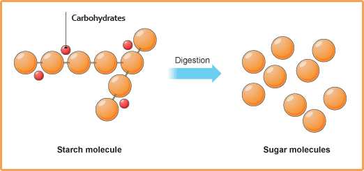 Molecules