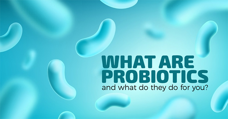 What are probiotics and what do they do for you?