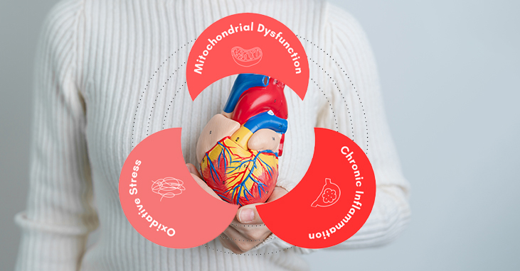 Could These 3 Factors Be the Root of Your Health Issues