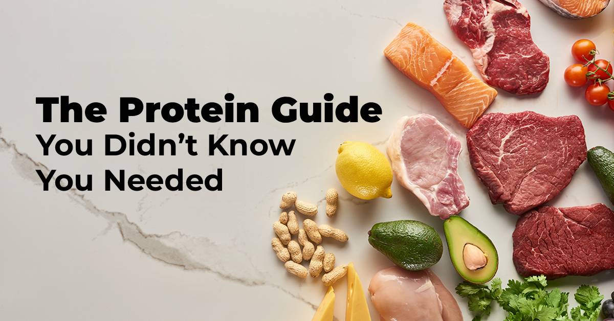 The Protein Guide You Didnt Know You Needed