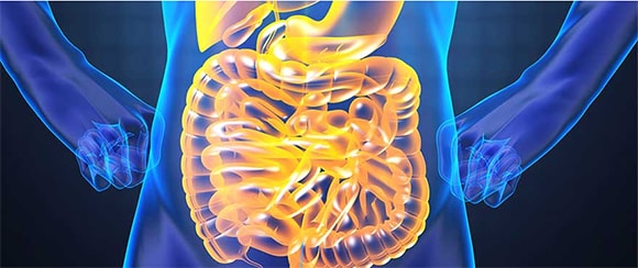 better digestion