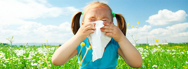 suffer from allergies or asthma